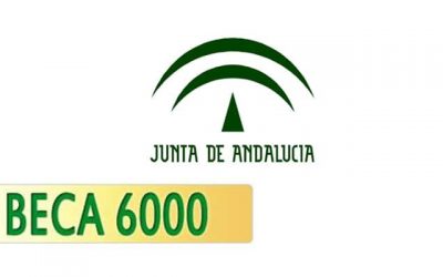 BECA 6000. PROPUESTA DE RESOLUCIÓN PROVISIONAL